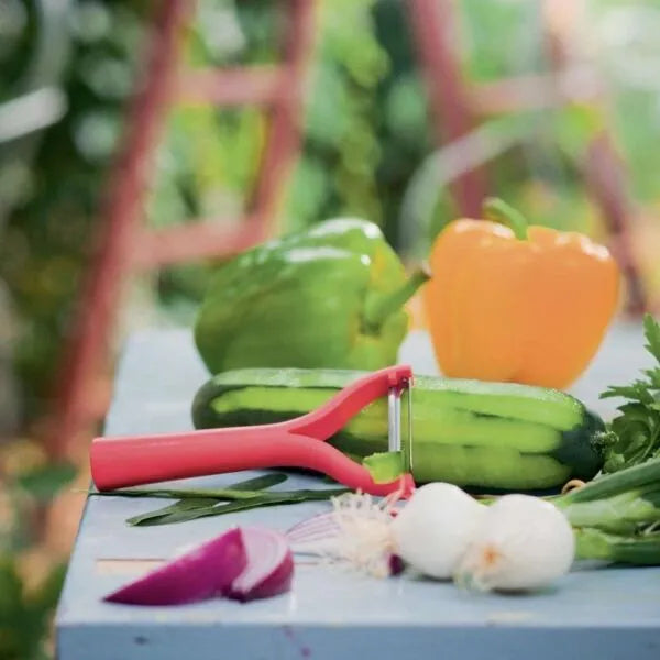 Rode schilmes met groenten zoals komkommer, paprika en ui op blauwe tafel