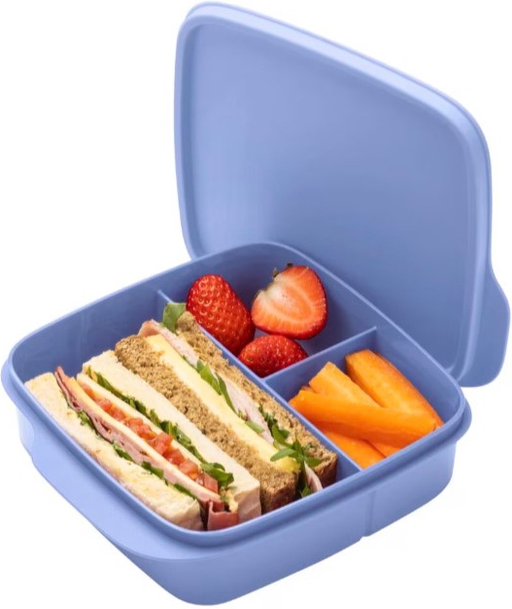 Blue lunch box with sandwich, strawberries, and carrot sticks on white background