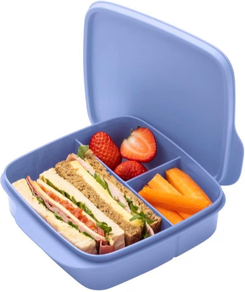 Blue lunch box with sandwich, strawberries, and carrot sticks on white background