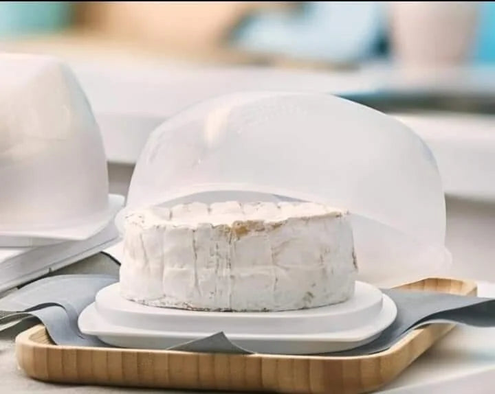 Tupperware CheeSmart Junior (Vierkante Kaasdoos / KäseMax)