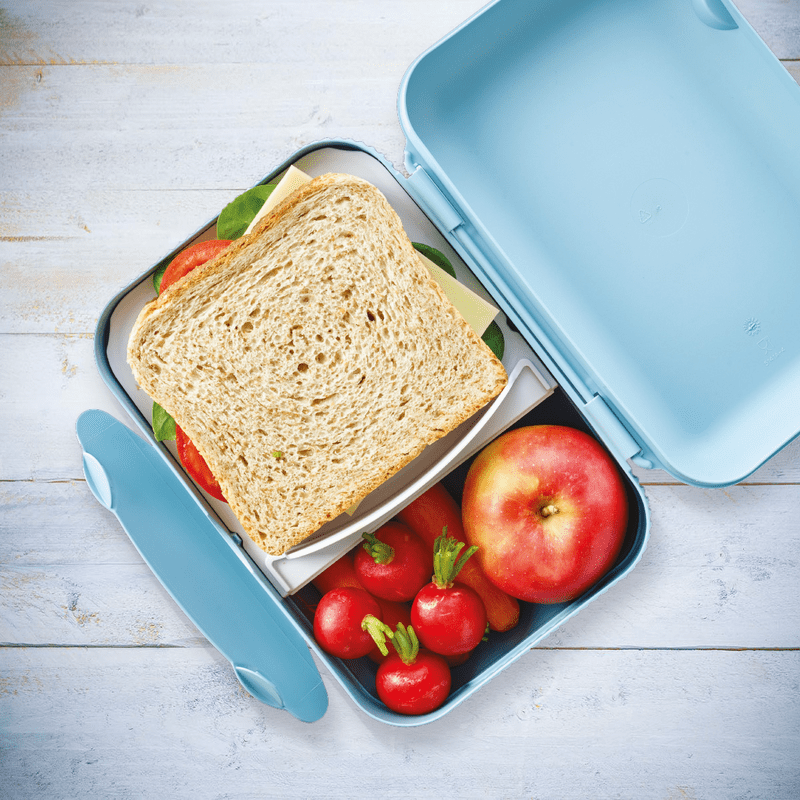 Tupperware Snackpack