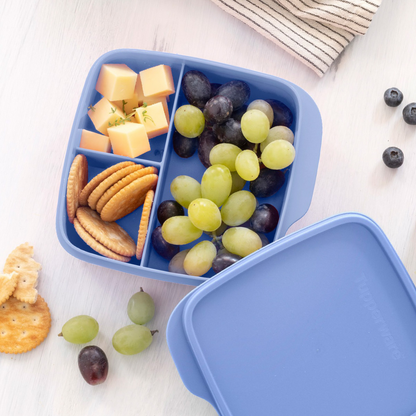 Blue lunch container with cheese cubes, crackers, green and black grapes on a light table