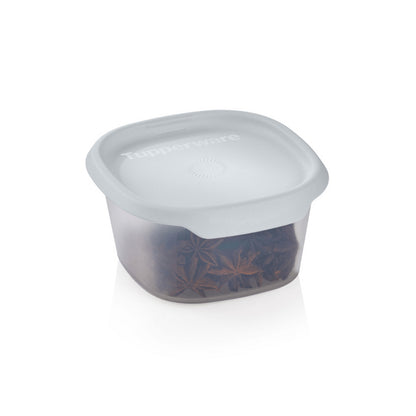 Plastic food storage container with translucent lid and dried spices inside