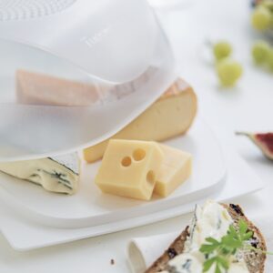 Tupperware CheeSmart Junior (Vierkante Kaasdoos / KäseMax)