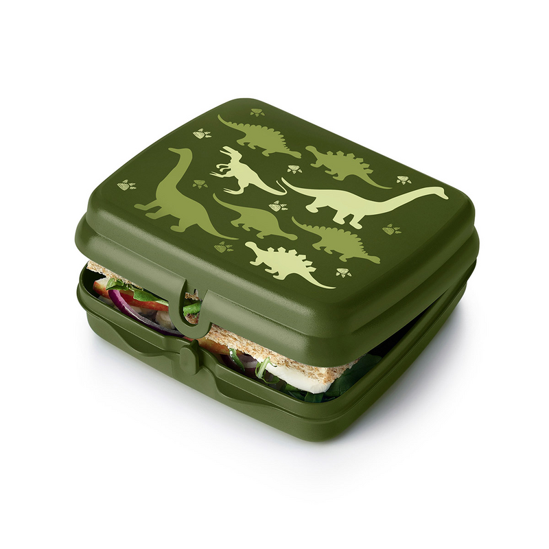 Green square lunchbox with dinosaur illustrations, holding a sandwich, on white background