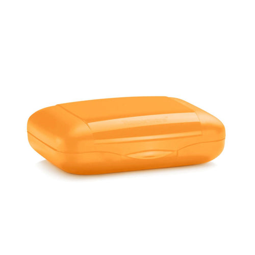 Tupperware Mini Snack box