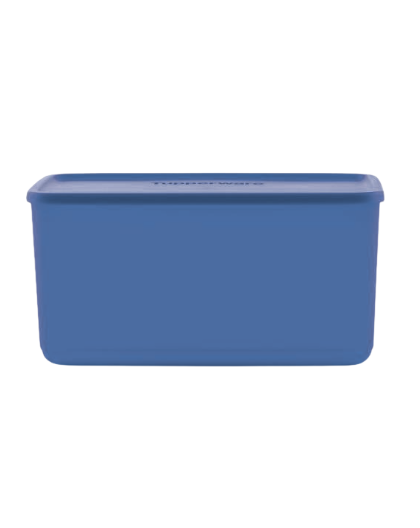 Blue rectangular plastic food storage container with lid, ideal for kitchen organization
