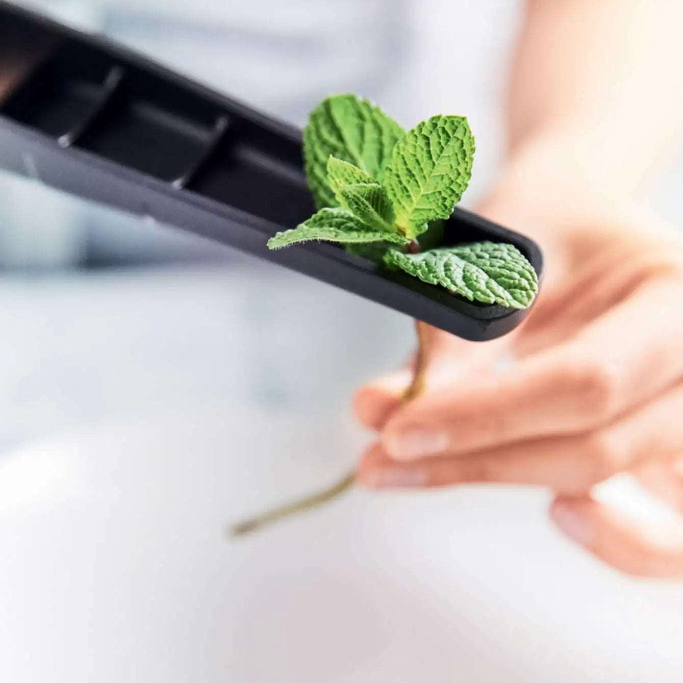 Tupperware Knoflookpers Plus