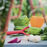 Rode schilmes met groenten zoals komkommer, paprika en ui op blauwe tafel