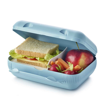Tupperware Snackpack