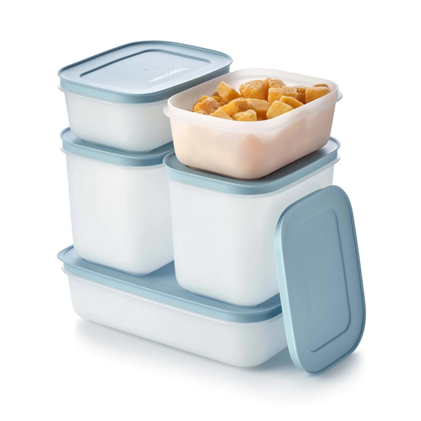 Tupperware Diepvriesbakken Set 5 delig Blauw - Ivonne's Kitchentools