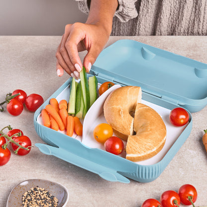 Tupperware Snackpack