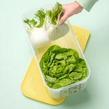 Fresh fennel and lettuce stored in a clear Tupperware VentSmart container on a yellow lid.