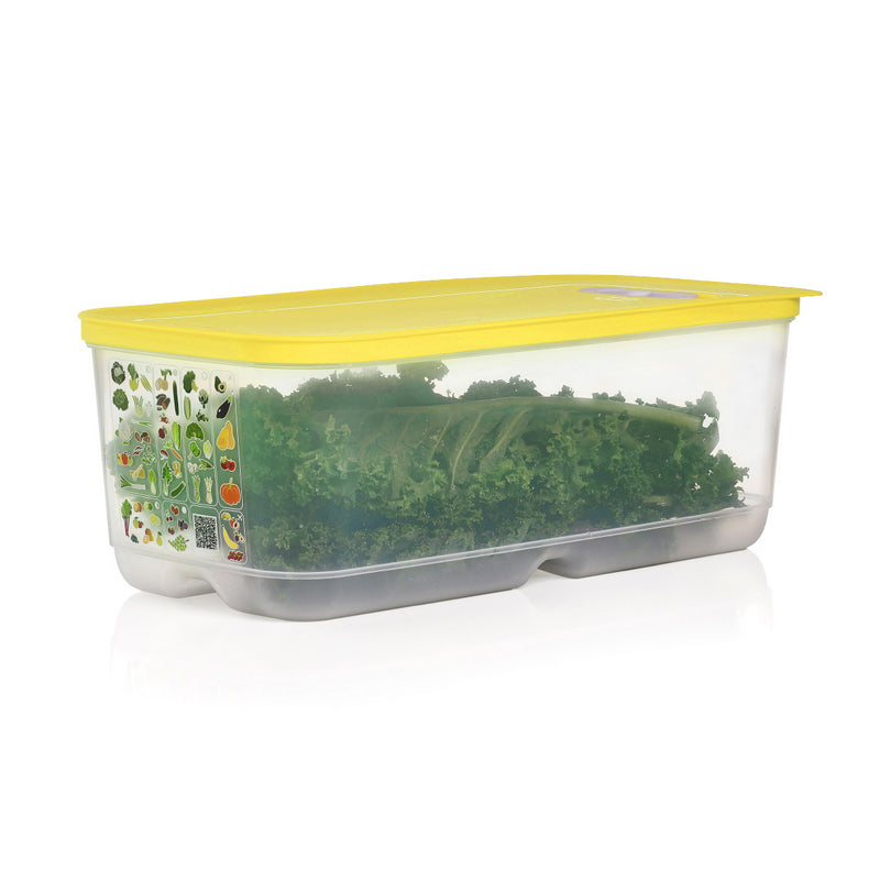 Tupperware VentSmart 6.1L food storage container with yellow lid filled with fresh kale leaves